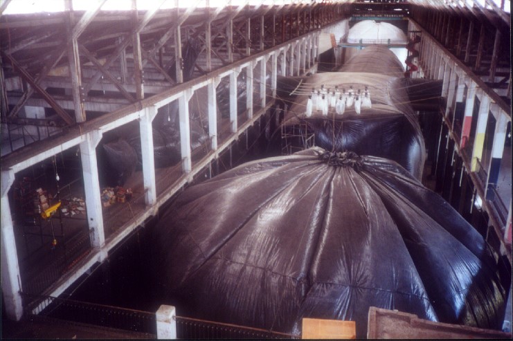 público herói: viagem ao centro da terra rj