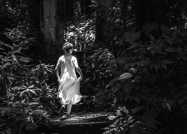 Joana Queiroz + 6: Emaranhados